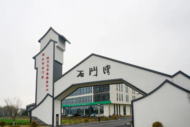桐乡“大米书记”扎根田间诠释担当使命