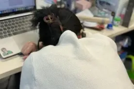 【健康科普】午睡可能与身材有着千丝万缕的联系！午睡达到这个量，身体更健康图片