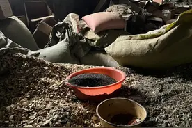 生产车间犹如废弃工厂！网红足浴包细菌“爆表”，涉北京同仁堂、马应龙等图片