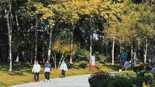 记者实拍！肥城五彩斑斓的景色，每一帧都是写给秋日的情书~