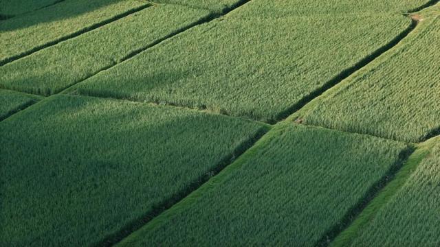 安纳班纳·泰宁 | 在时间的褶皱里，呼吸一场丹霞旧梦