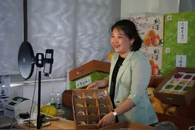 中国式现代化奋进者｜回农村创业是我最正确的选择！崇明桔苑农家乐专业合作社理事长陆慧慧如是说图片