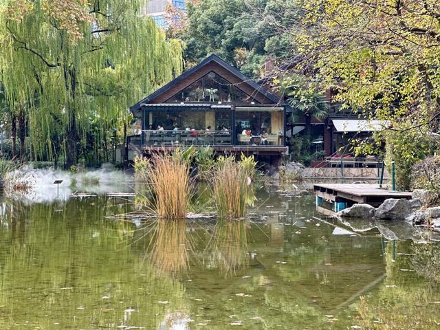 静安公园周五起闭园9个月，官方效果图抢先看！市民有啥期待？古树群怎么办？