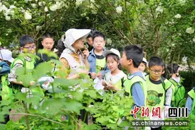 春日赏花踏青 元气生活共享蓉城春色图片