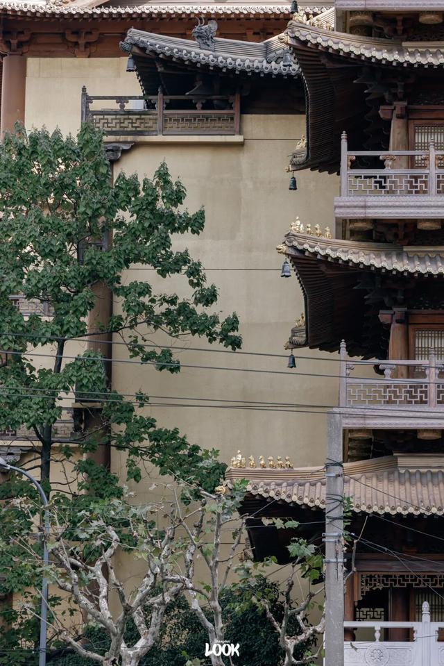 上海最美不过愚园路