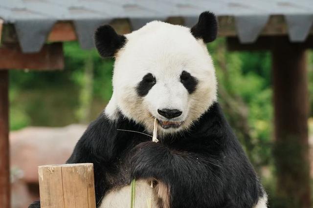 教师节福利！江苏两地多个景区官宣：免费！