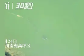 30秒丨航拍看江景：嘉陵江面鱼儿扎堆“晒太阳”图片