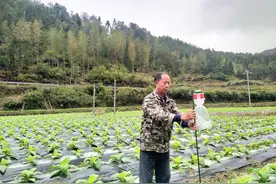 江西石城：推进绿色防控 打造美丽乡村图片