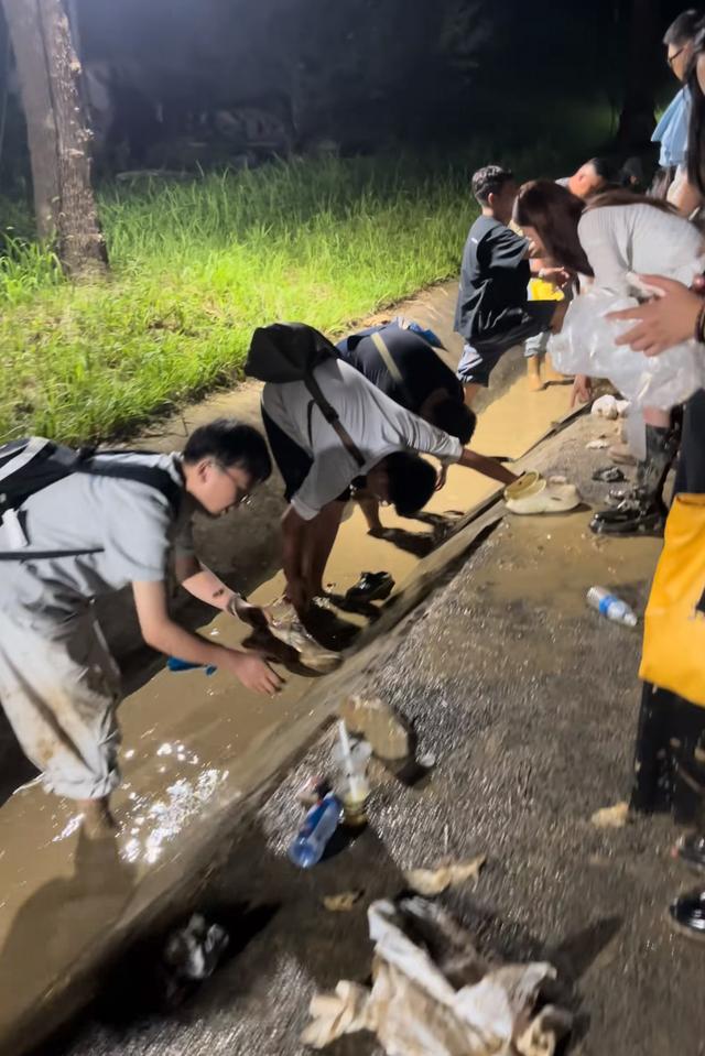 蚌埠龙湖音乐节满地泥巴还爬出甲鱼，游客成“兵马俑”自嘲来插秧，场地方：一直下雨