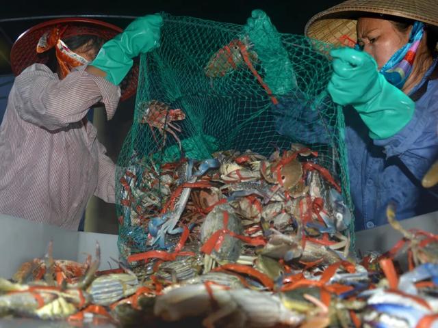 防城港短剧式旅行路线：48小时解锁《人间烟火图鉴》