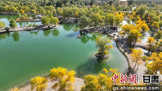 甘肃金塔：胡杨林美景醉游人