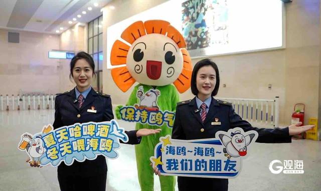 五大场景全域联动！从云端到海岸，青岛邀您开启鸥遇之旅