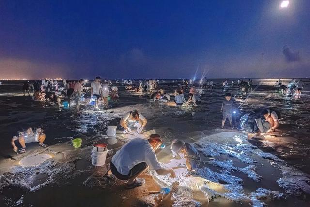 这个五一，去刘家湾赶一场“潮”——万亩滩涂已备好，只差一个挽起裤脚的你