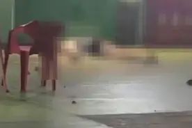 “消失”的抛物者、难拿到的赔偿，高空抛物“破局”20年图片