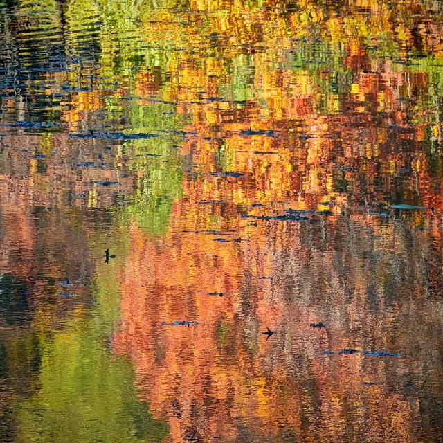 北京颐和园：斑斓涟漪胜似山水画卷