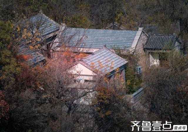 壹点号·秀山东丨淄博牛记庵：秋色浸染古村落，金黄火红映石巷