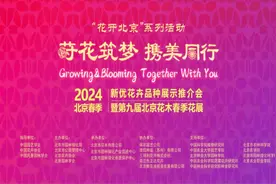 “花开北京”又一站，2024北京春季花展开幕！图片