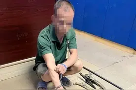 汕尾海丰公安快速侦破一起盗窃电线案，抓获犯罪嫌疑人2名图片