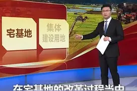 2025年中央一号文件发布，明确划定了红线与禁区：“不允许城镇居民到农村购买农房、宅基地，不允许退休干部到农村占地建房图片