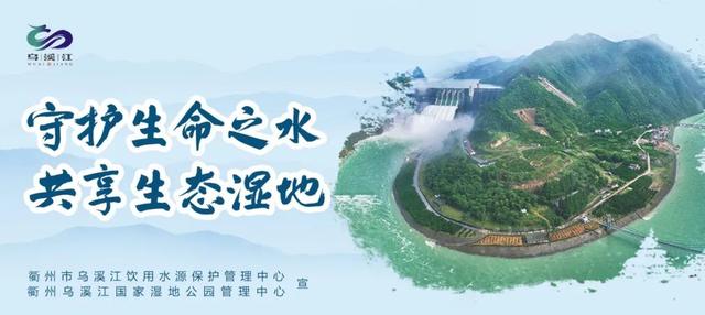 幸福食堂飘出“暖心味”