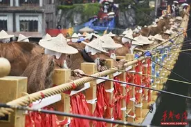 近60位农民“姜太公”上岗，工作就是“钓鱼”、打盹和发呆图片