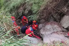 云南一94岁老人上山砍柴跌落山沟，36小时后获救图片