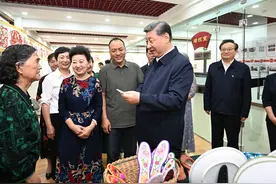 学习进行时丨习近平总书记和宁夏的故事图片