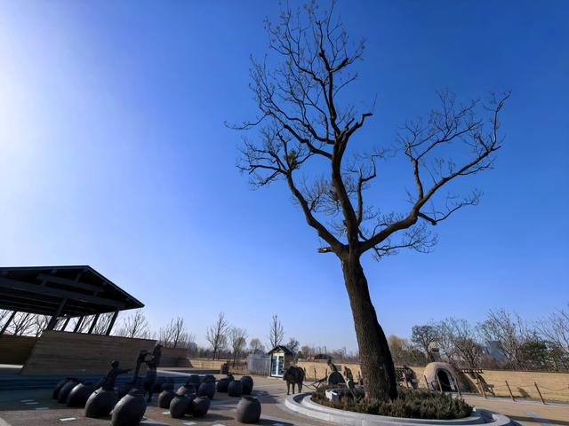 冬日的北京路县故城遗址公园：萧瑟中的浪漫