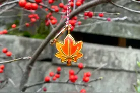 近期这些景点免票开放，收好这份打卡攻略图片