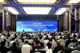 武汉市汉阳区投资5.5亿元建设低空经济总部飞行基地图片