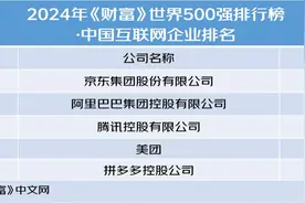 世界500强里的未来商业：拼多多首登榜、美团跃升83名、京东晋级中国最大民营公司图片
