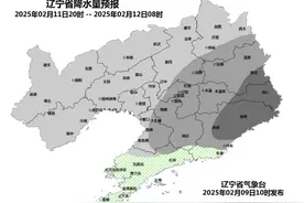 降雪又要来了！辽宁发布最新提醒：11日夜间中东部地区将有中雪到大雪图片