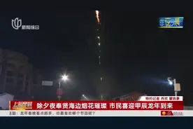 除夕夜奉贤海边烟花璀璨 市民喜迎甲辰龙年到来