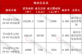 湖州长东片区三宗宅地均由本土国企竞得图片