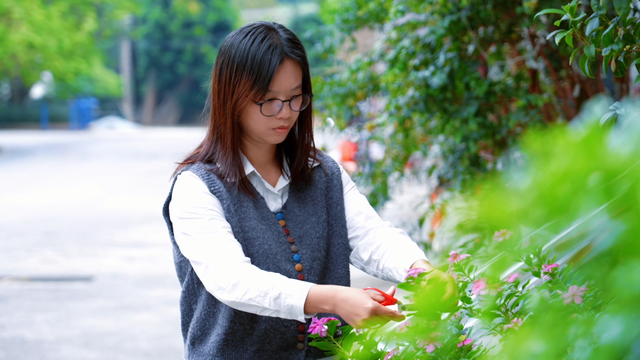 祖屋潮改变民宿！贤鲁岛上的“家”，免费住→