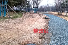 夹河湿地公园损坏的雨水井修好了图片