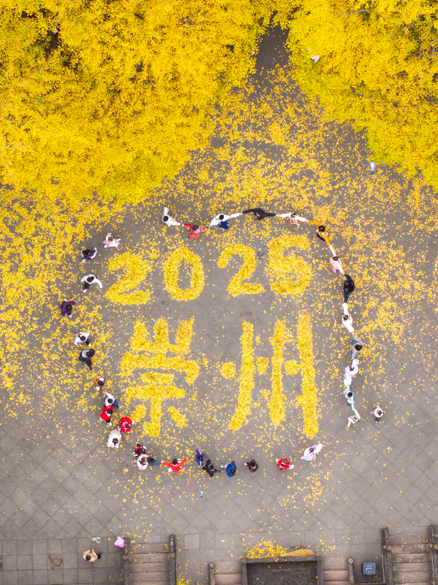 金灿灿！成都人的“顶流”上线，错过等一年！