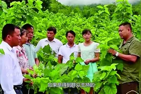 笔记本生动讲述乡村故事图片