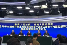 【中国之声】两高发布司法解释 规范办理破坏黑土地资源刑事案件图片