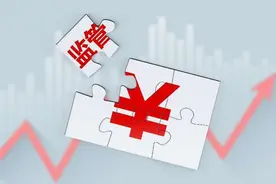 2025年首家IPO终止：维安股份上市之路搁浅图片
