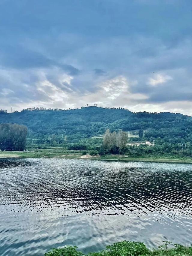 季节限定！洛阳些“海”人少景美，快出发！