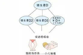 关于维生素D的功能，您知道多少？图片