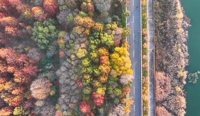 江苏东海：湿地公园冬景绚丽