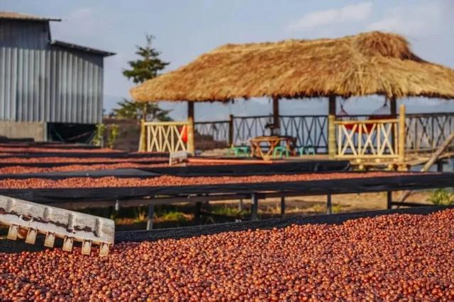 网络中国节·清明丨清明出游不扎堆！云南这些人少景美的宝藏小城别错过