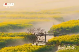 总台《山水间的家》第二季第一视角生动呈现乡村振兴壮美画卷图片