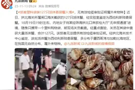 旅客塑料袋装127只活体寄居蟹入境，无有效检疫审批证明，属外来物种图片