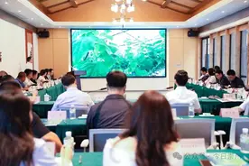 人工 vs AI谁更强？我们拭目以待！图片