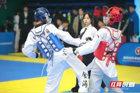 湖南省亚军！郴州金海学校跆拳道特色锋芒初露图片