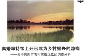 农村地区离婚率上升，机构和学者提出对策图片