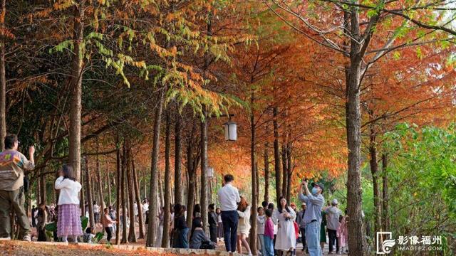 满屏粉红！福州美成童话！